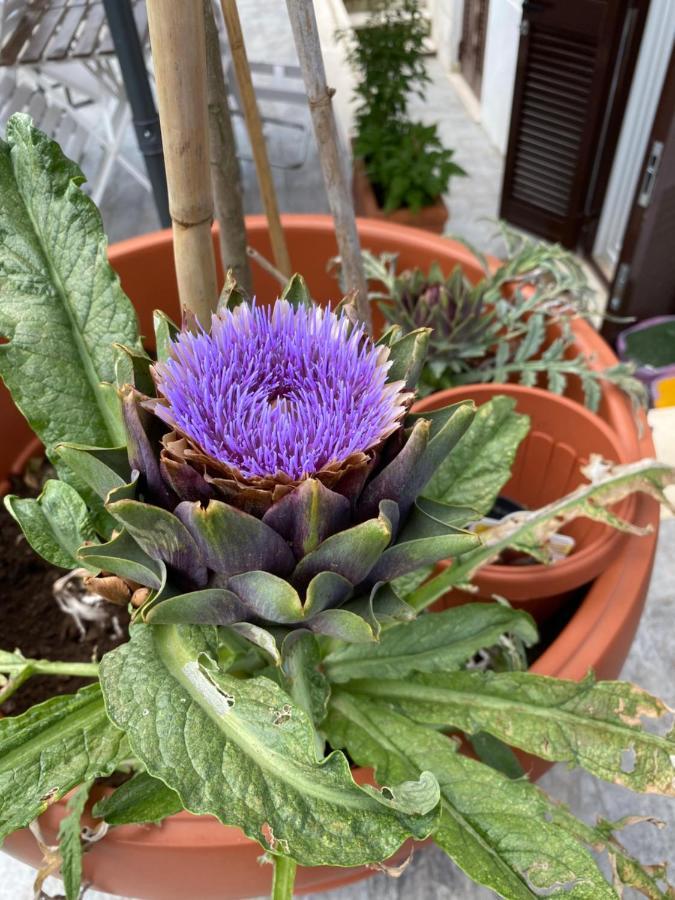 Officinale Rome Apartment, Pineta Sacchetti Exterior foto