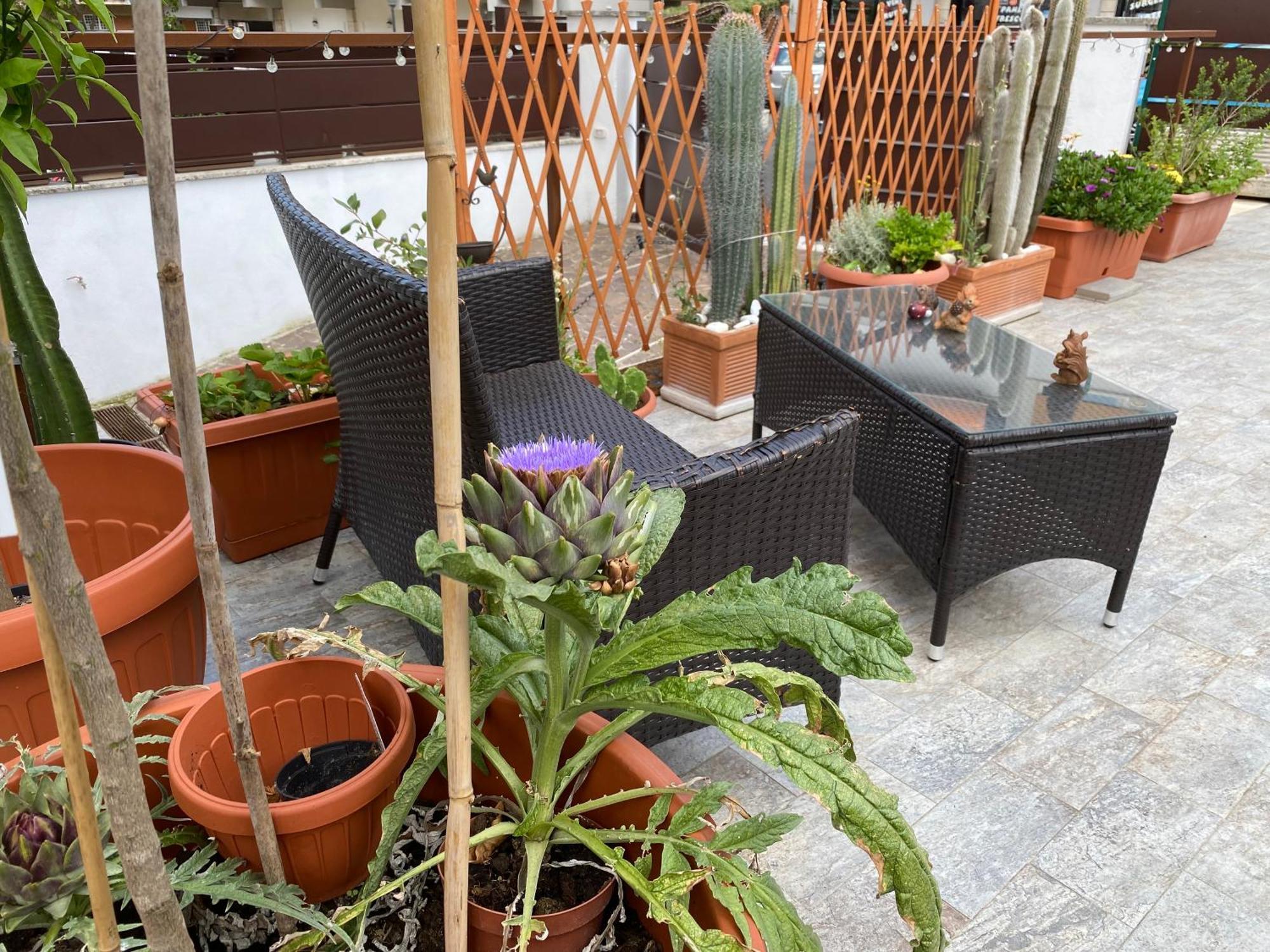 Officinale Rome Apartment, Pineta Sacchetti Exterior foto